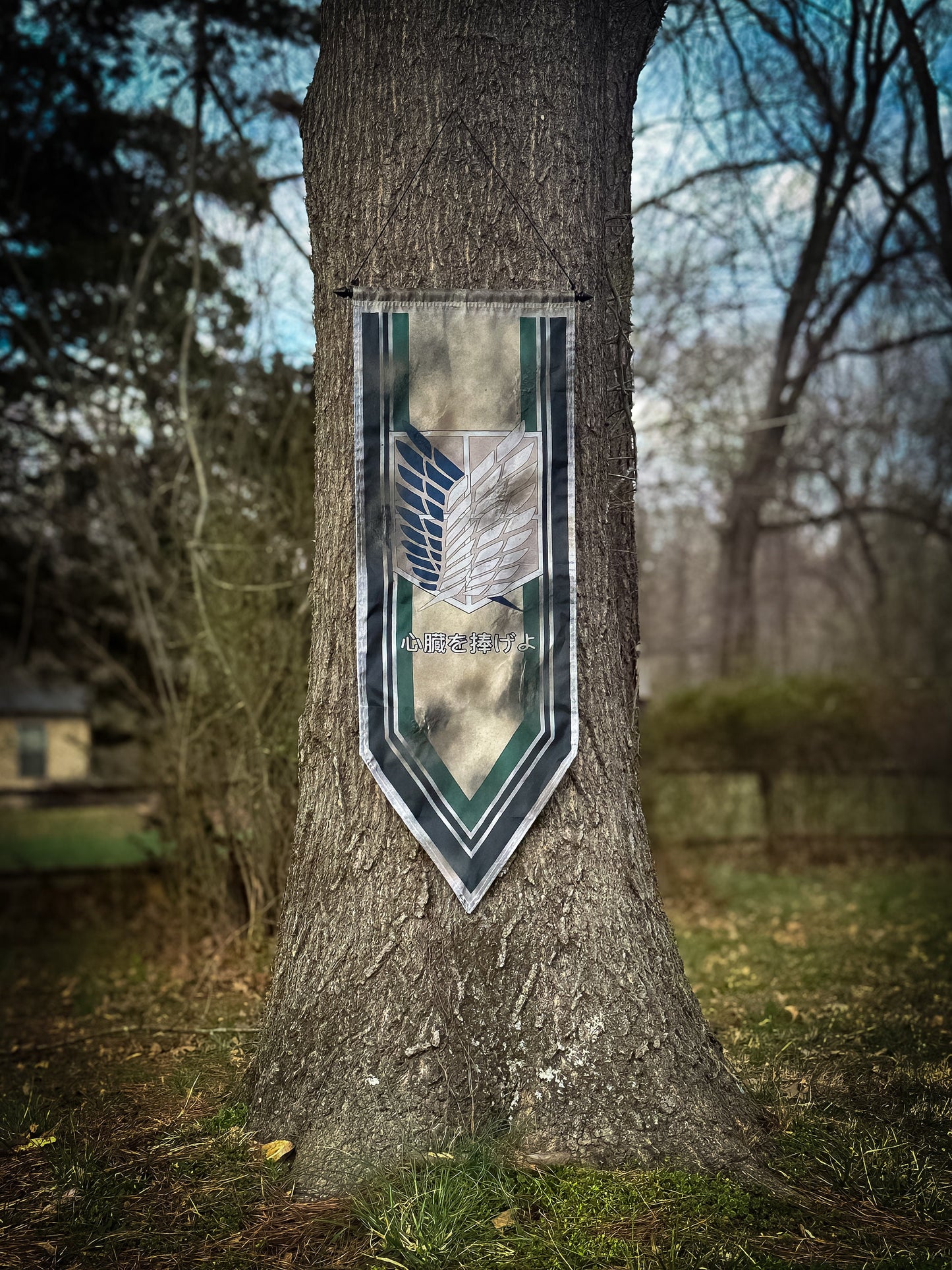 Attack on Titan Scouts Flag, Regiment Titan Scout Flag MASSIVE Battle-Worn