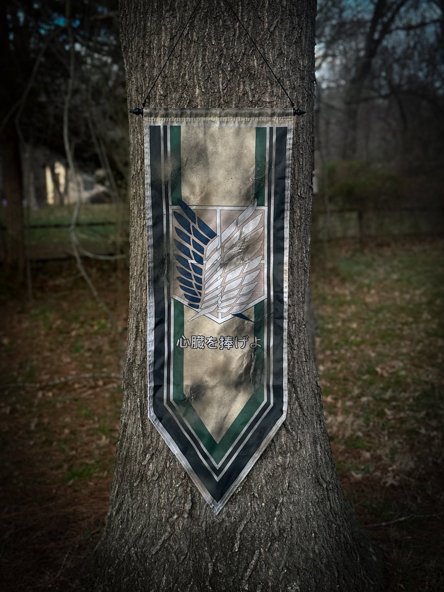 Attack on Titan Scouts Flag, Regiment Titan Scout Flag MASSIVE Battle-Worn